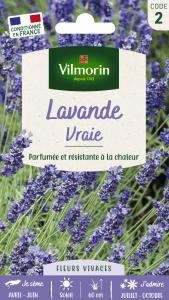 Lavande Vraie